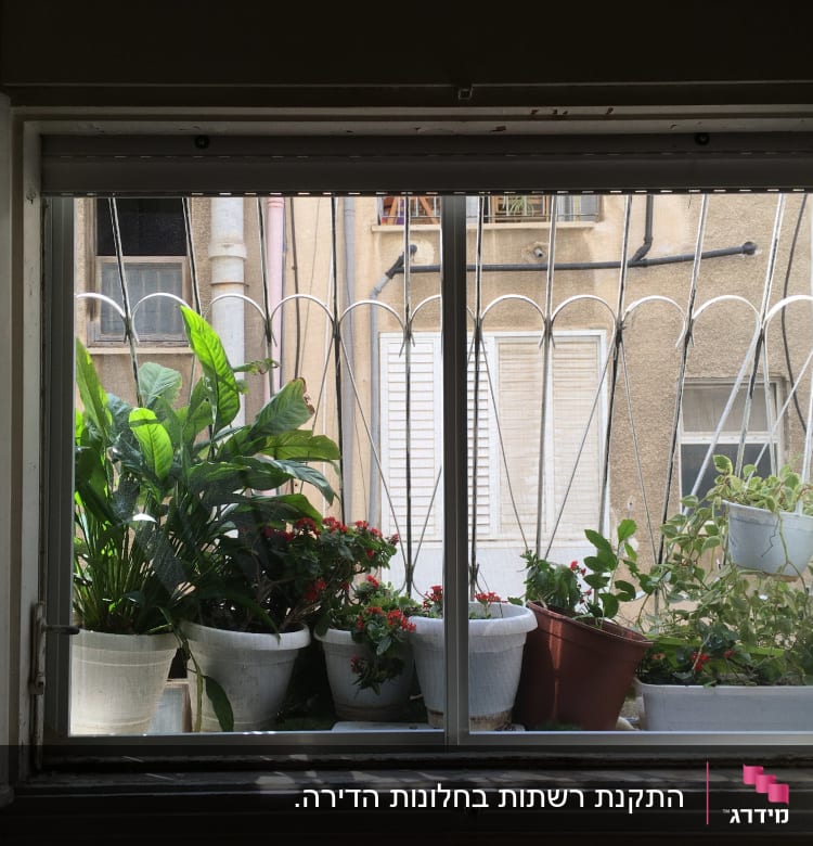 חלון אלומיניום עם סורגים וצמחים בעציצים